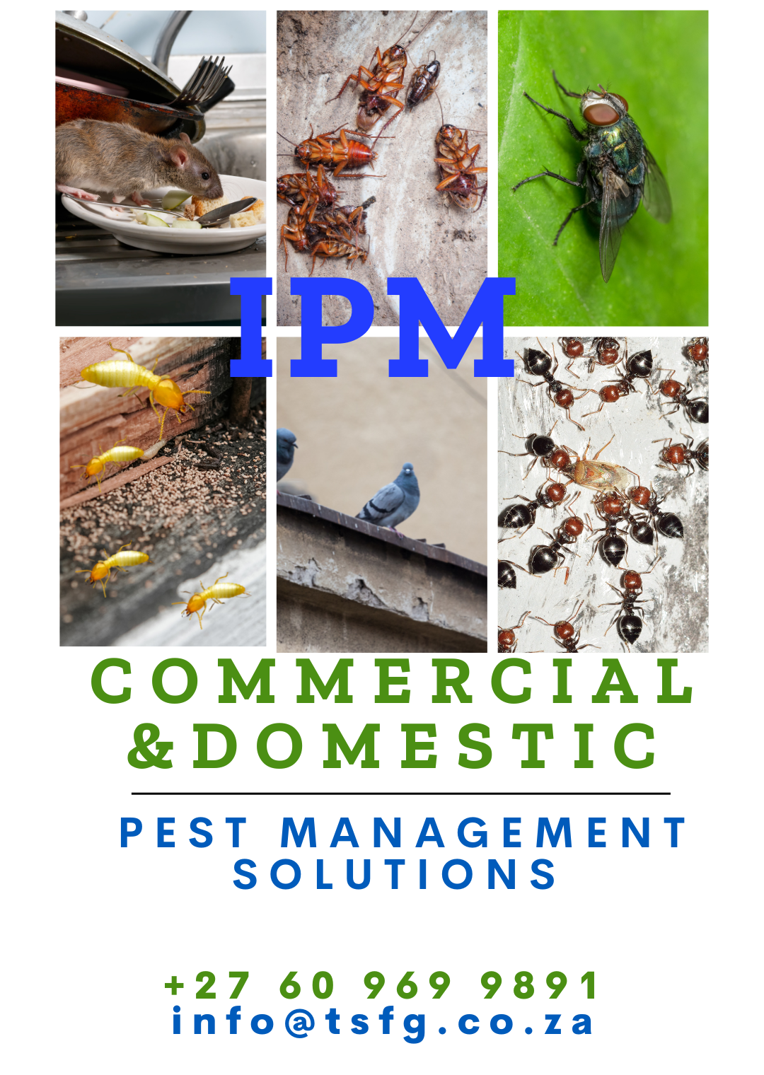 Integrated pest management solution or services  (1080 × 1520 px) (1)